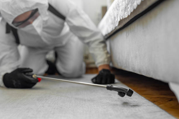 Professional Cockroach Control technician working in Rushville, IL