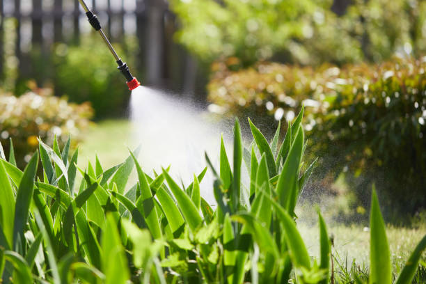 24/7 Emergency Cockroach Control experts in Rushville, IL