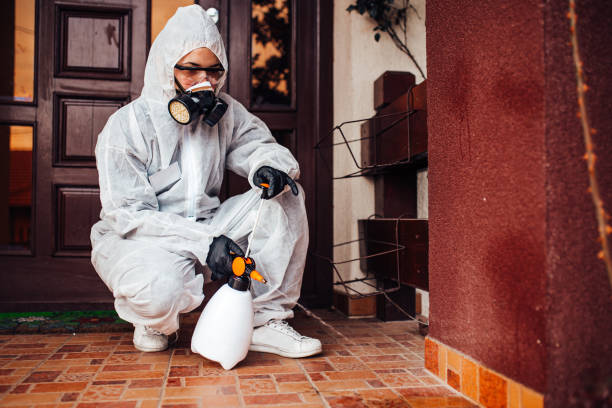 Reliable Cockroach Control contractor in Rushville, IL by Nex Pest Control