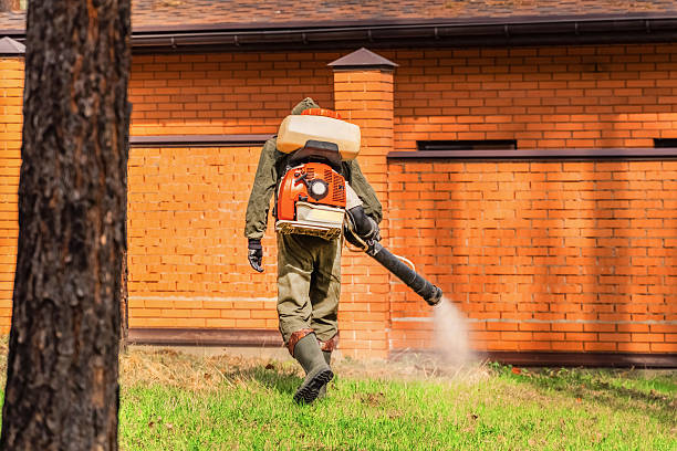 Top rated local Cockroach Control specialists in Rushville, IL